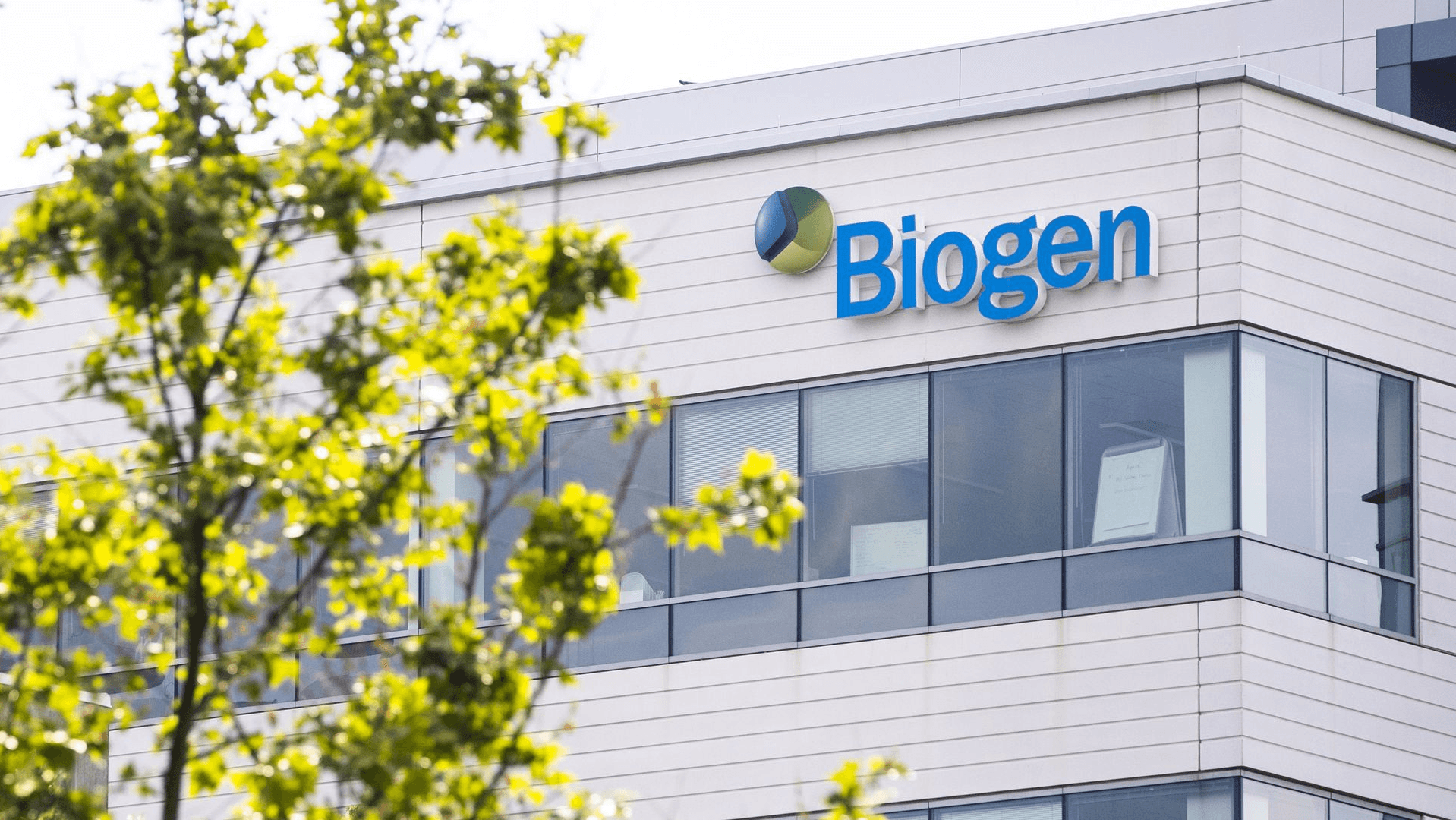 Największe ruchy w południe: Biogen, Micron, Virgin Galactic