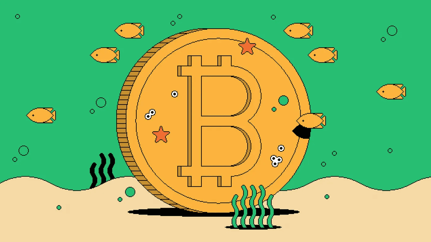 BitsBitcoin Launches New Designed Website